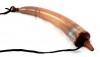 HN101L - Powder Horn